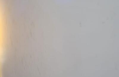 2 BHK Flat  For Rent