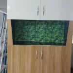 🏠 1BHK Low Rise Apartment – For Rent